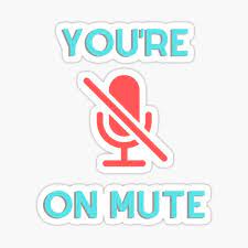 you-are-on-mute.jpeg